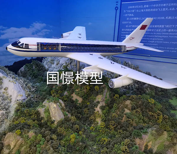 石阡县飞机模型