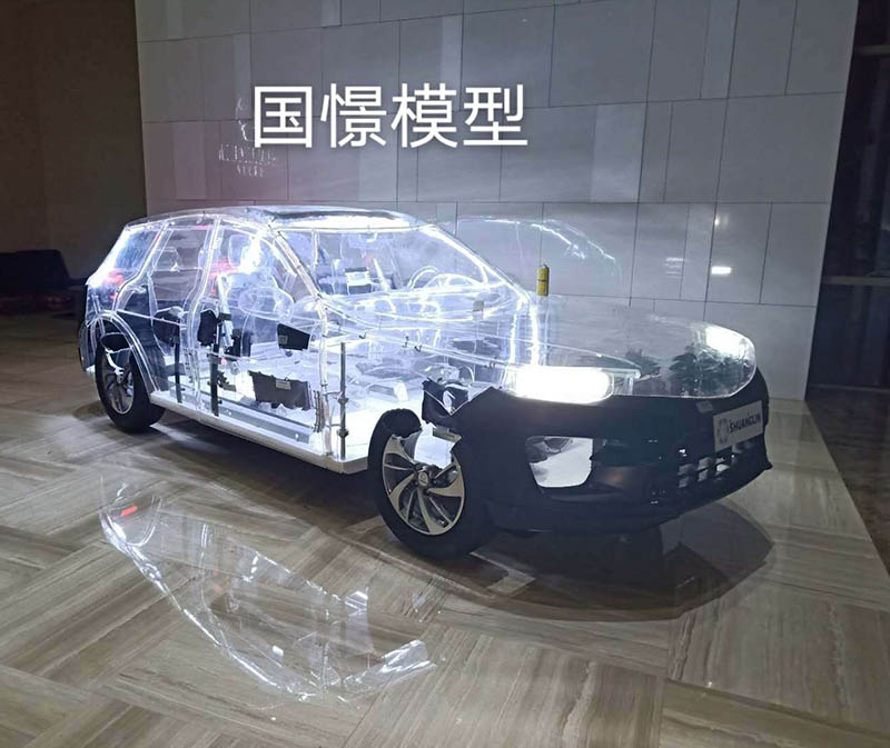 石阡县透明车模型